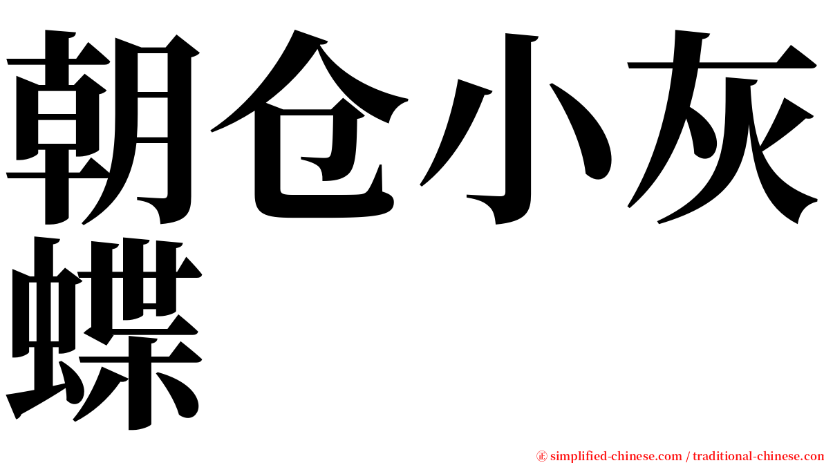 朝仓小灰蝶 serif font
