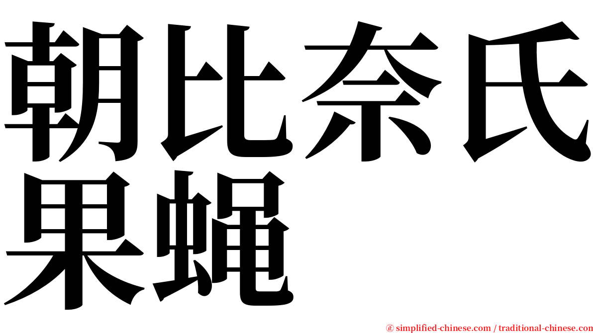 朝比奈氏果蝇 serif font