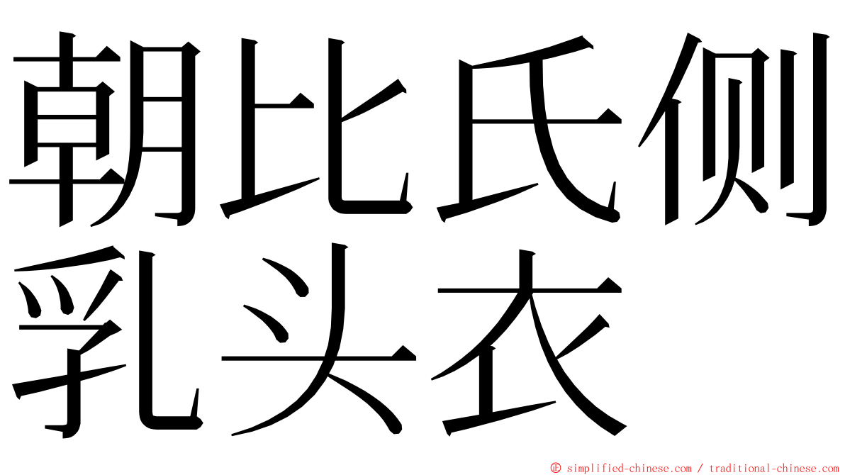 朝比氏侧乳头衣 ming font