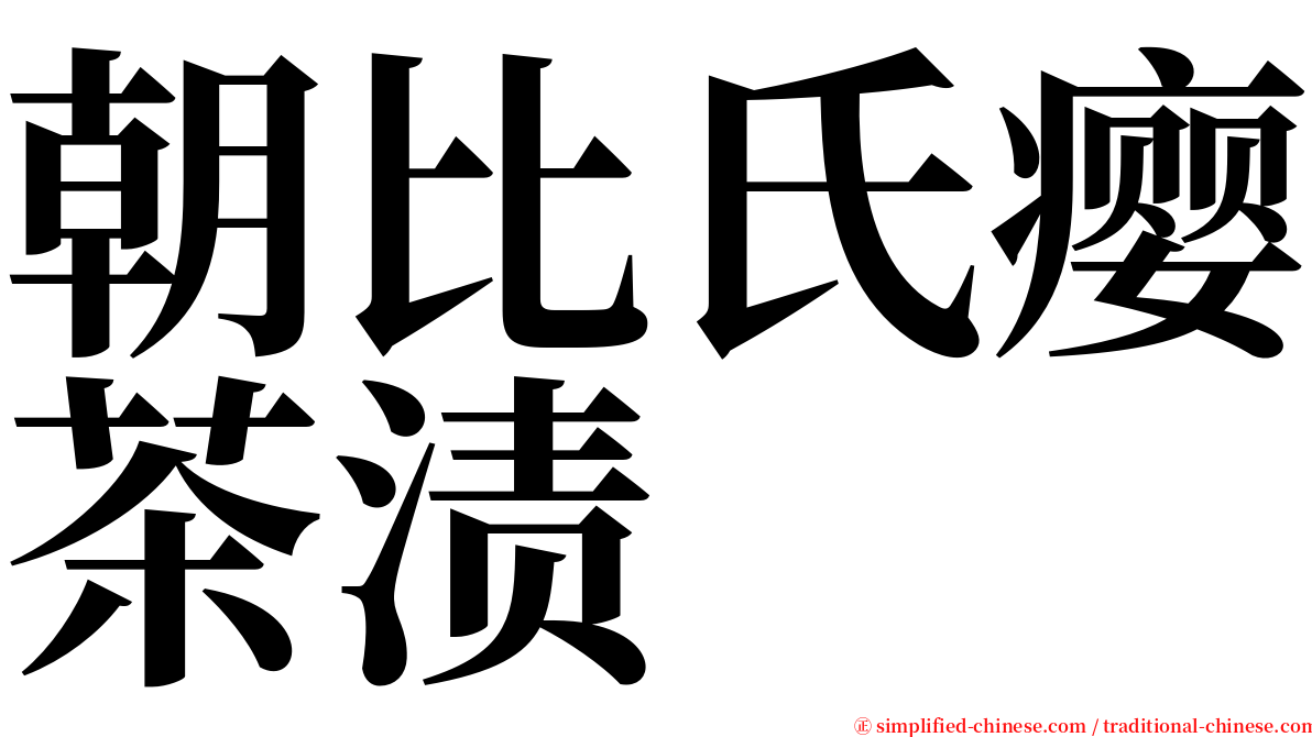 朝比氏瘿茶渍 serif font