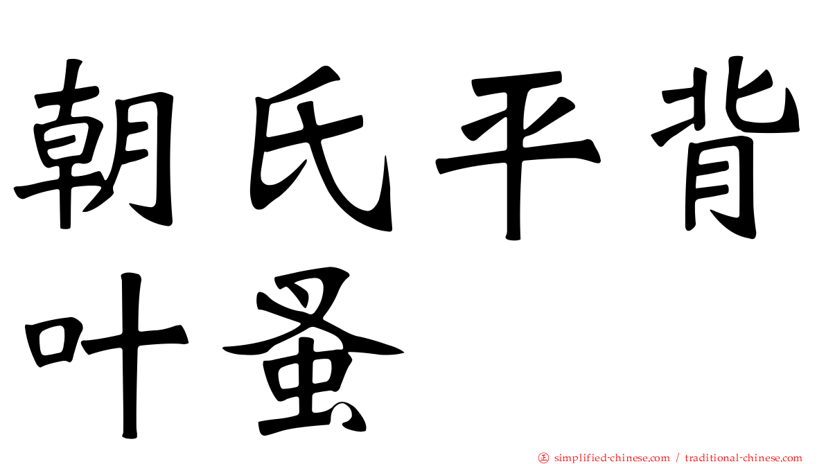 朝氏平背叶蚤