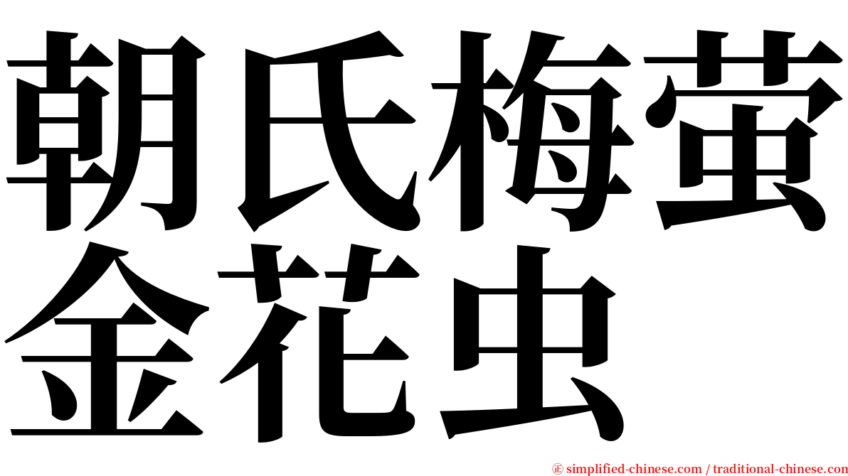 朝氏梅萤金花虫 serif font