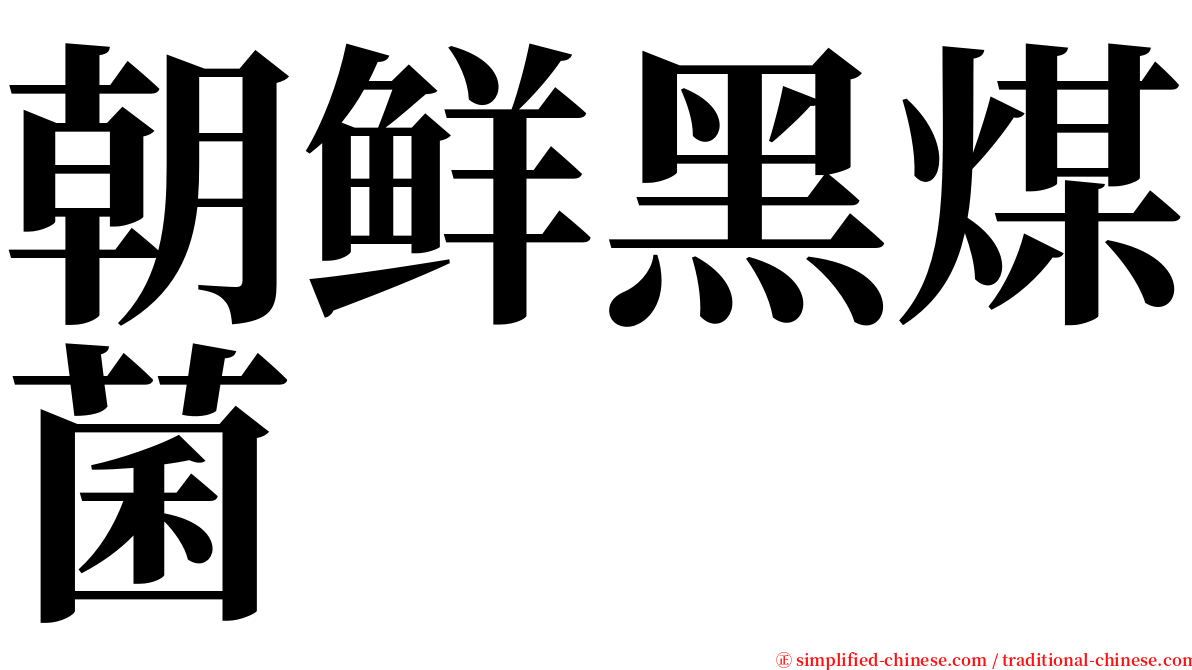 朝鲜黑煤菌 serif font