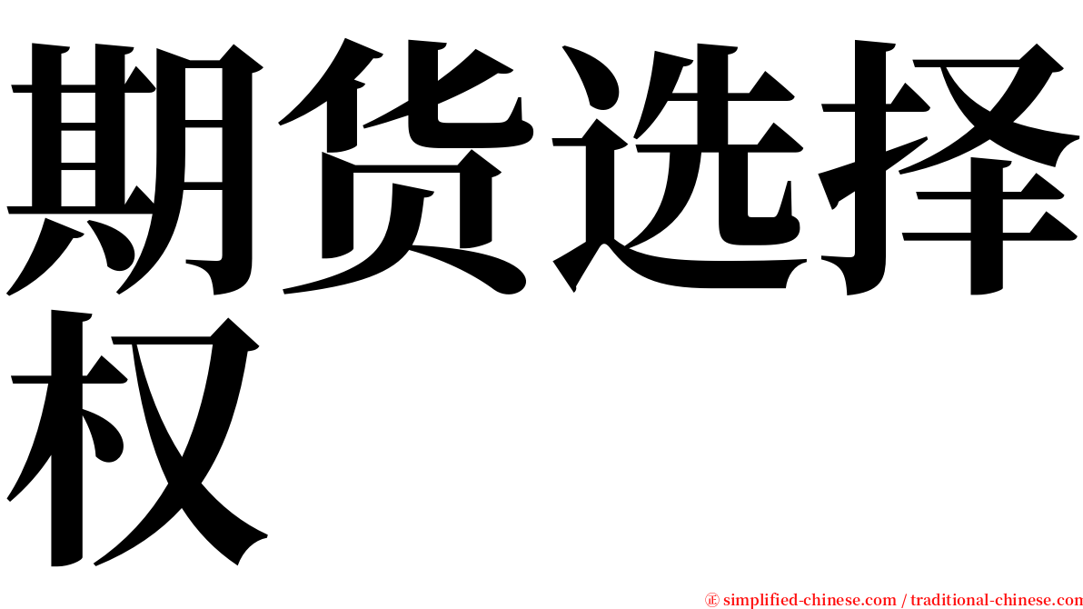 期货选择权 serif font