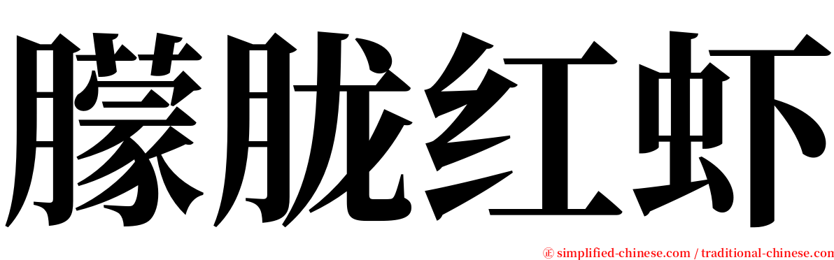 朦胧红虾 serif font