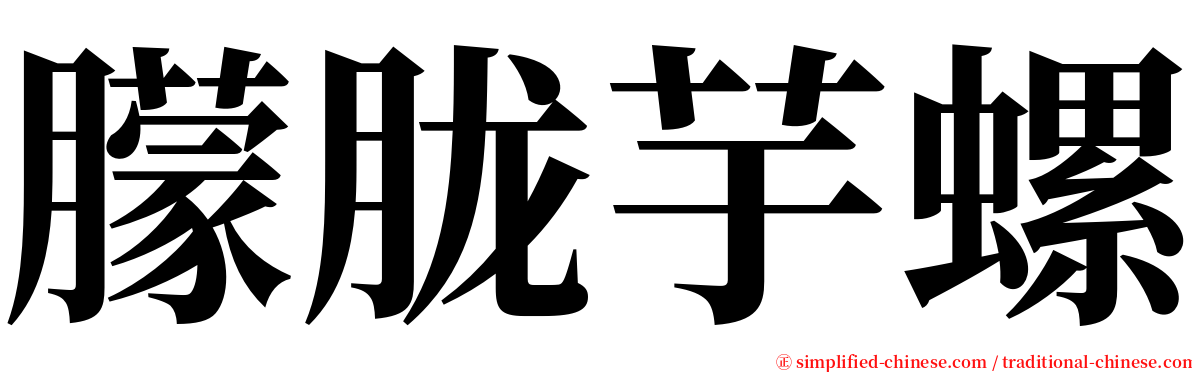 朦胧芋螺 serif font