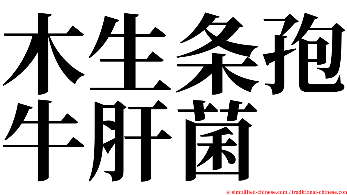 木生条孢牛肝菌 serif font