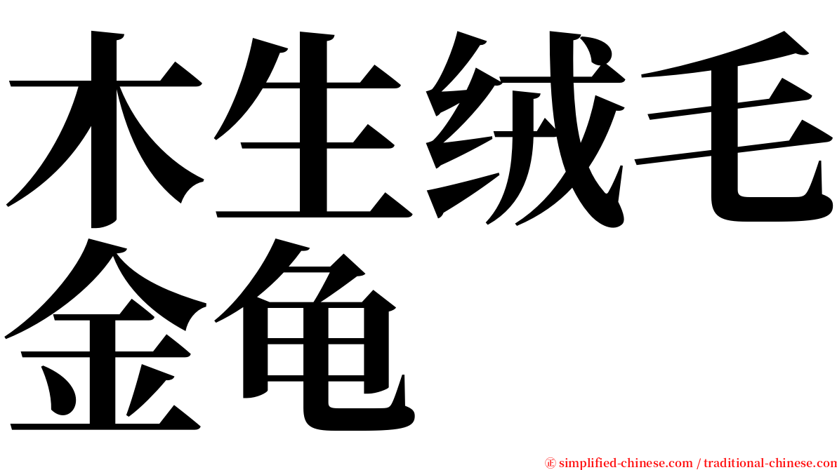 木生绒毛金龟 serif font