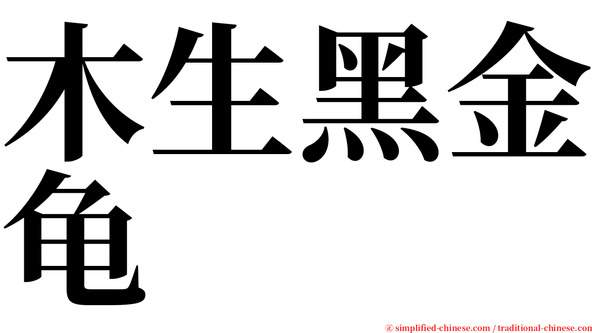 木生黑金龟 serif font
