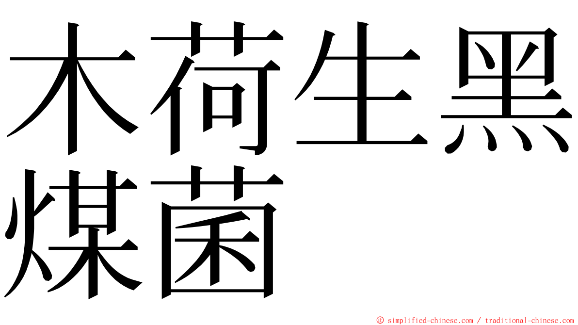 木荷生黑煤菌 ming font