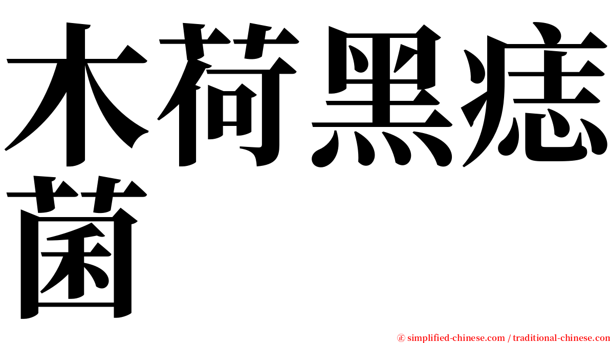 木荷黑痣菌 serif font