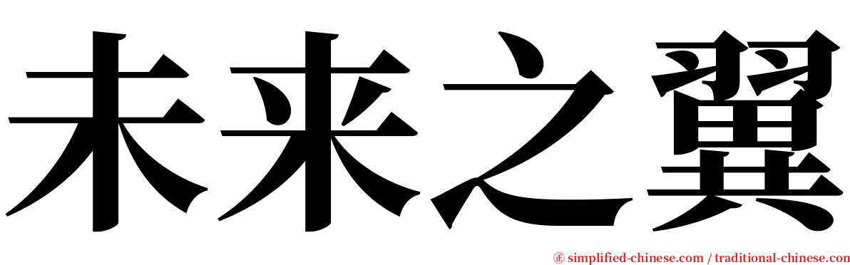 未来之翼 serif font