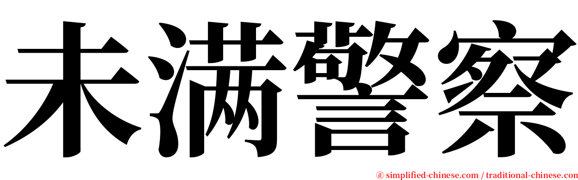 未满警察 serif font