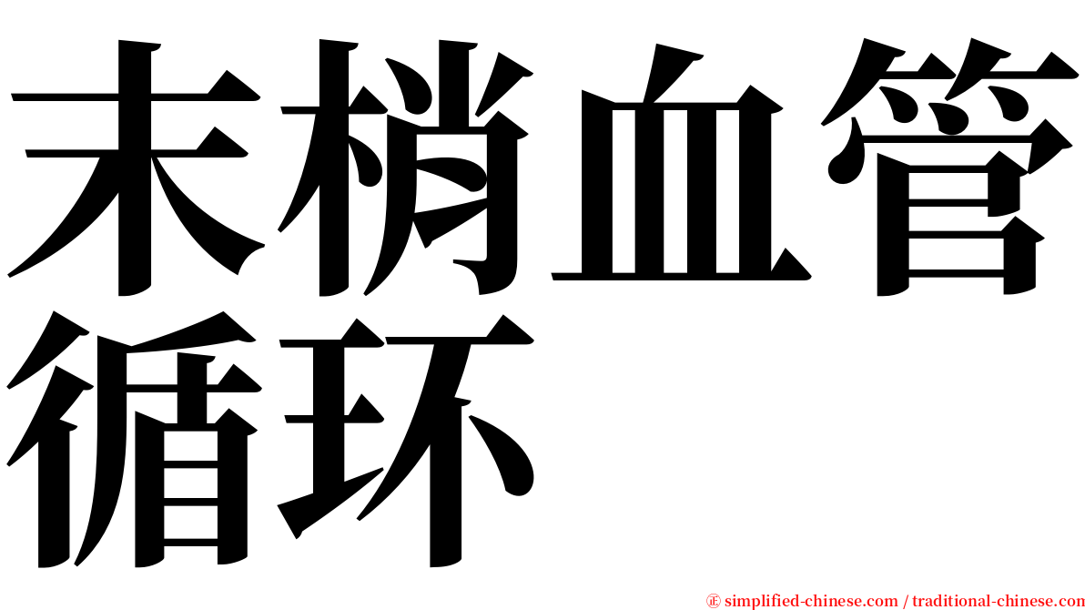 末梢血管循环 serif font