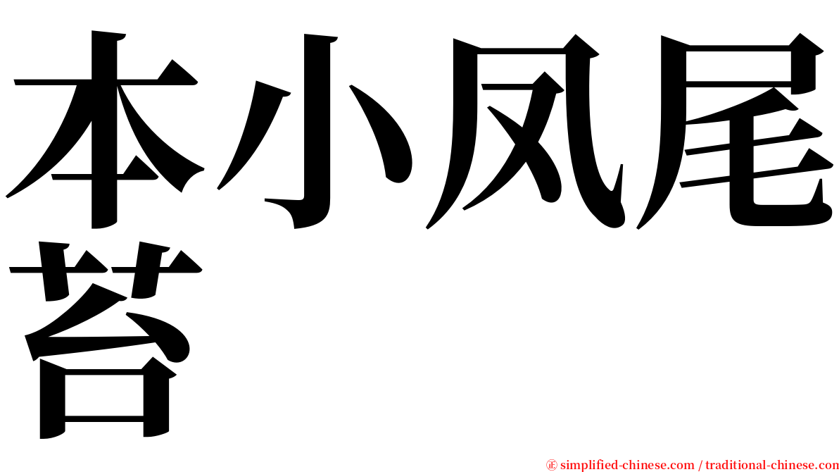 本小凤尾苔 serif font
