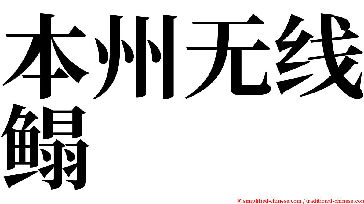 本州无线鳎 serif font