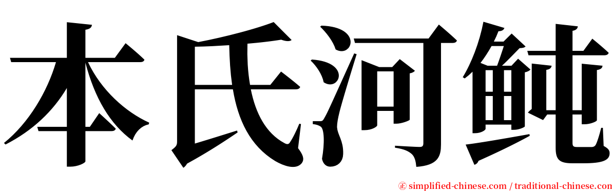 本氏河鲀 serif font