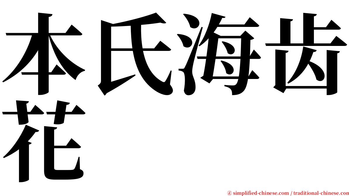 本氏海齿花 serif font