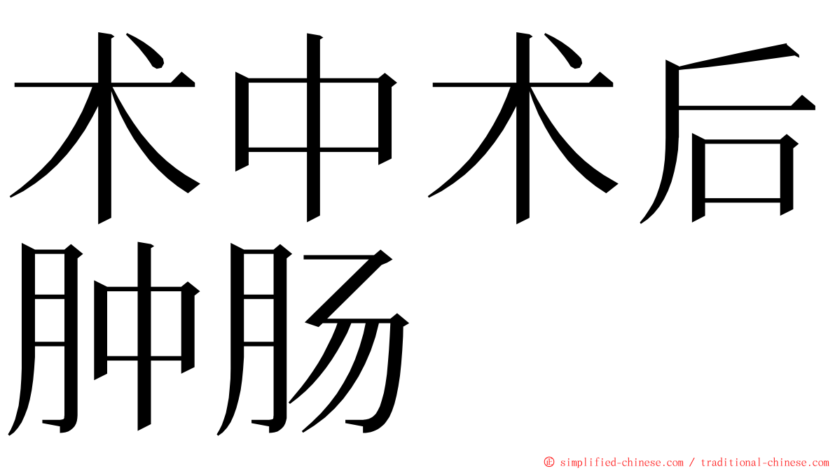 术中术后肿肠 ming font