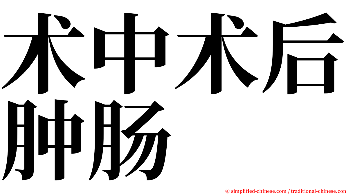 术中术后肿肠 serif font