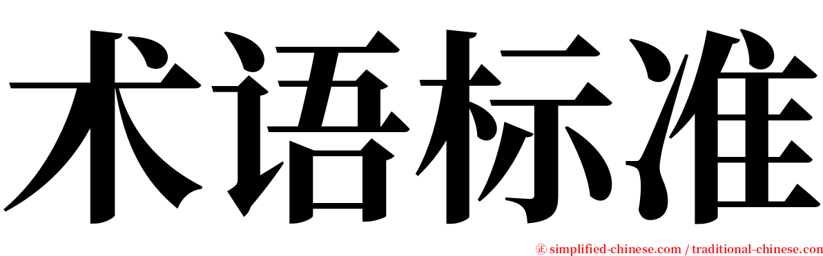 术语标准 serif font