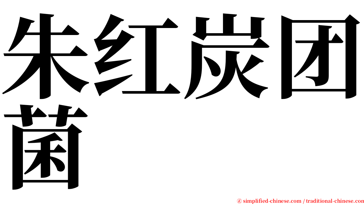 朱红炭团菌 serif font