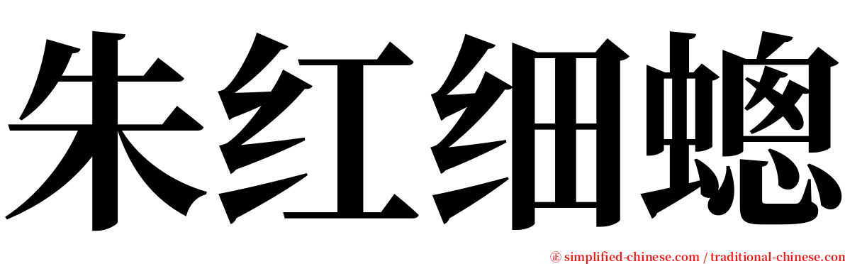 朱红细蟌 serif font