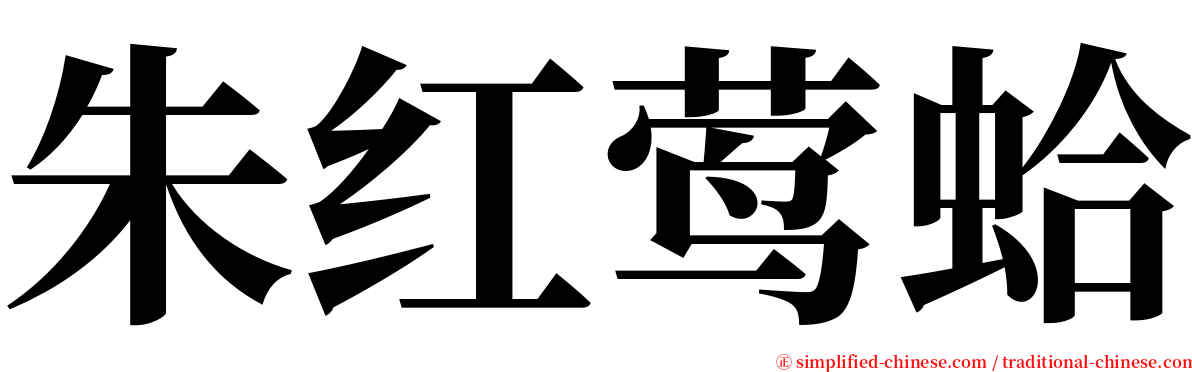 朱红莺蛤 serif font