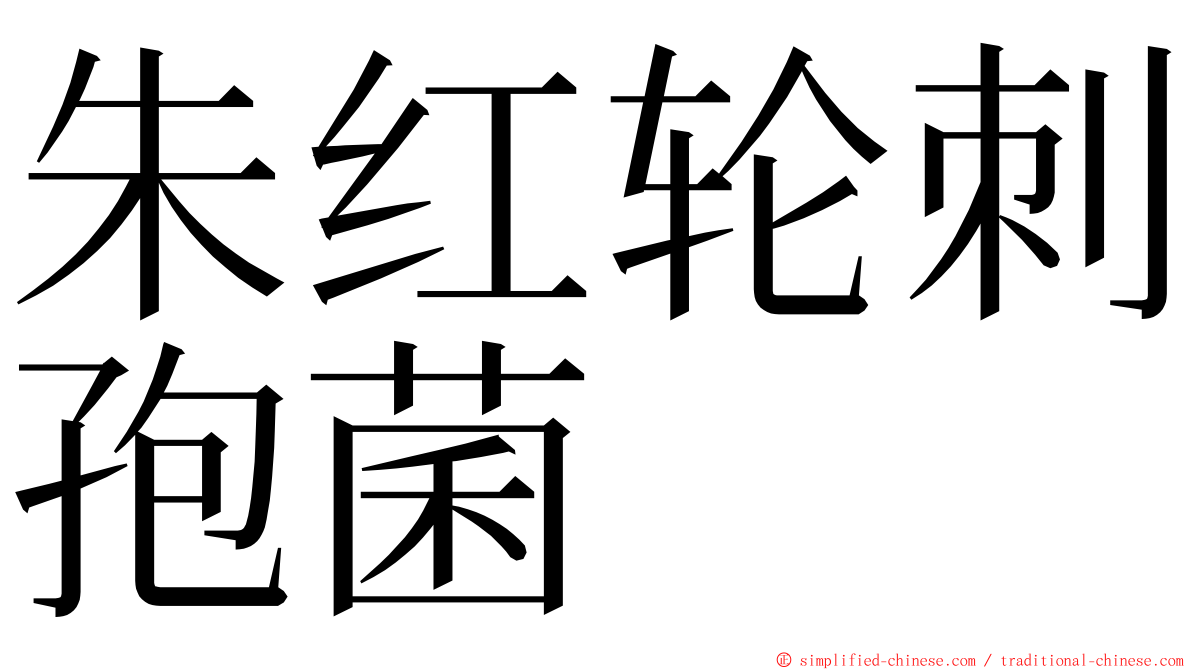 朱红轮刺孢菌 ming font