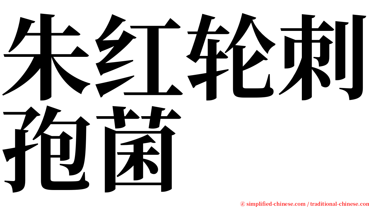 朱红轮刺孢菌 serif font