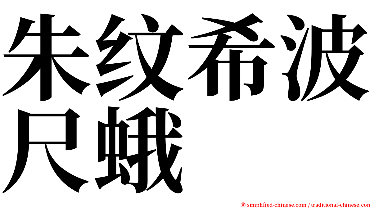 朱纹希波尺蛾 serif font
