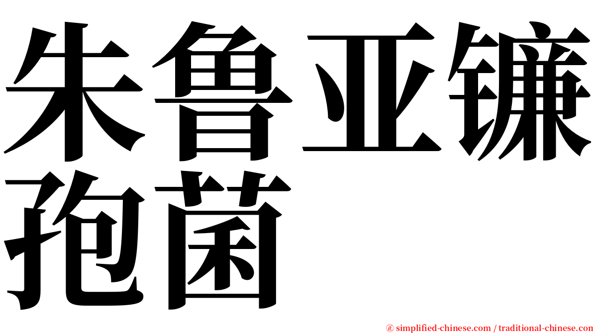 朱鲁亚镰孢菌 serif font