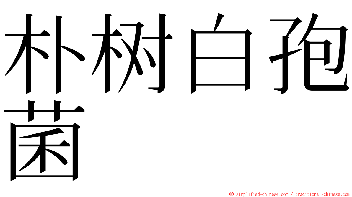 朴树白孢菌 ming font