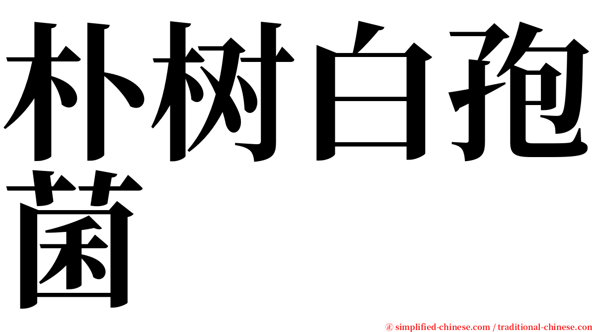 朴树白孢菌 serif font