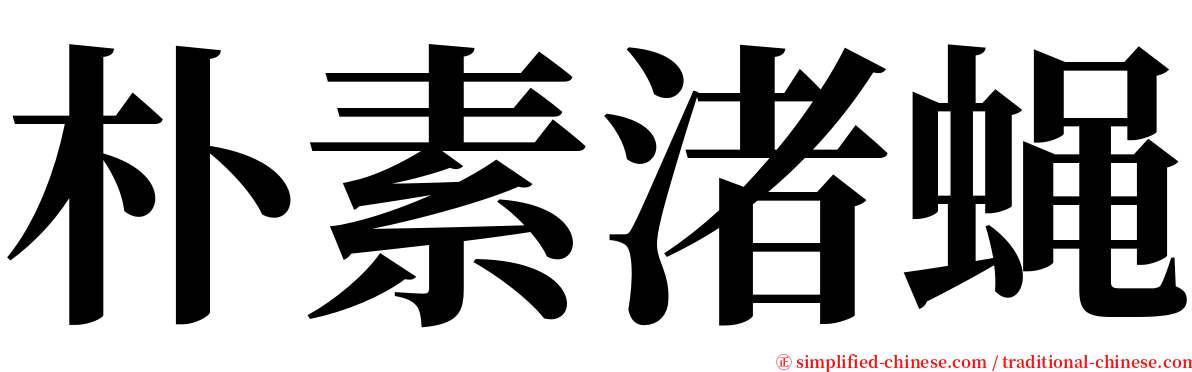 朴素渚蝇 serif font