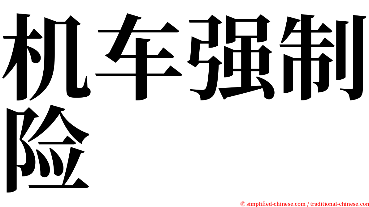 机车强制险 serif font