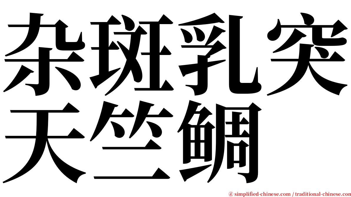 杂斑乳突天竺鲷 serif font