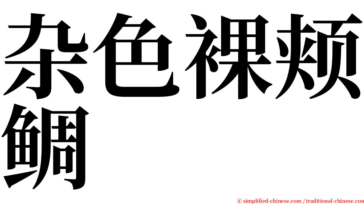 杂色裸颊鲷 serif font