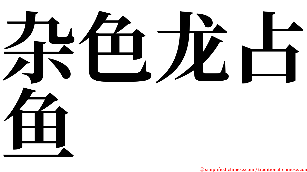 杂色龙占鱼 serif font