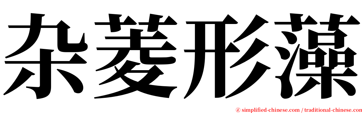 杂菱形藻 serif font