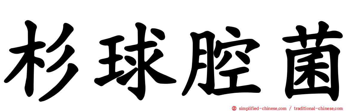 杉球腔菌