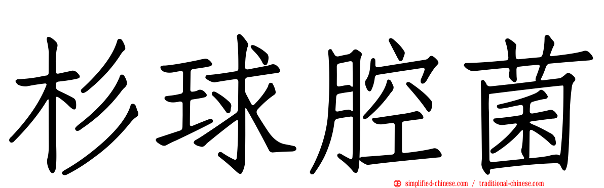 杉球腔菌