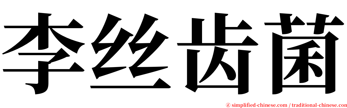 李丝齿菌 serif font