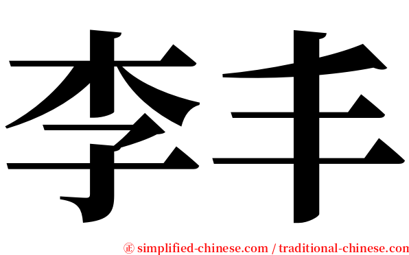 李丰 serif font