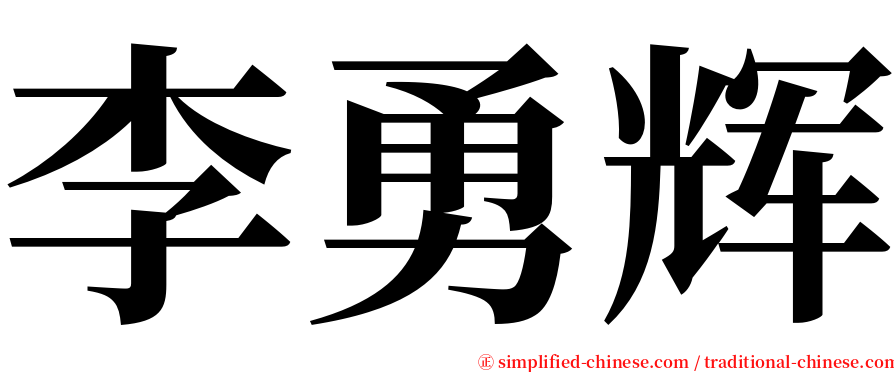 李勇辉 serif font