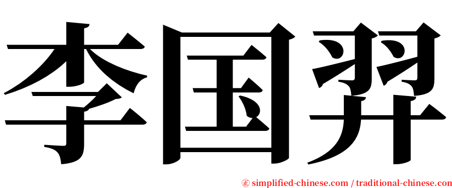李国羿 serif font