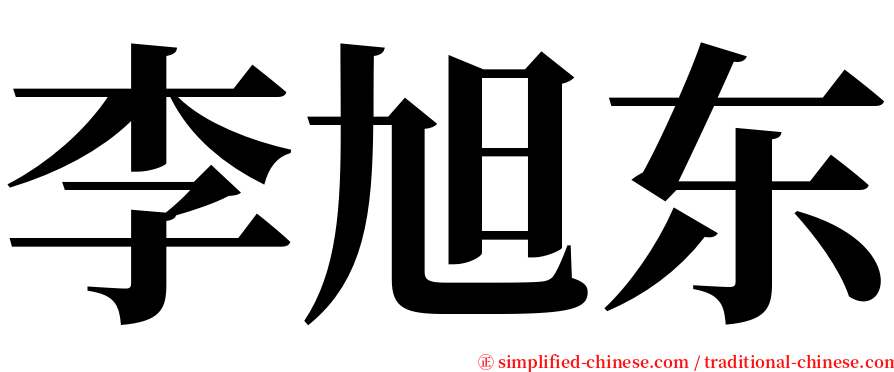 李旭东 serif font