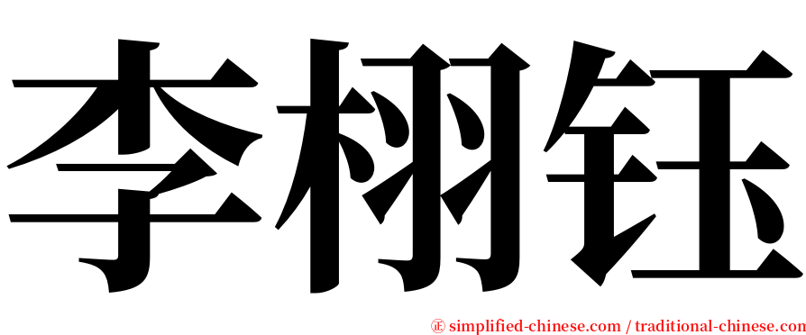 李栩钰 serif font