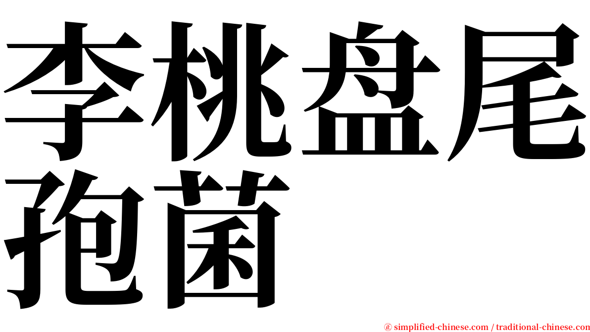 李桃盘尾孢菌 serif font