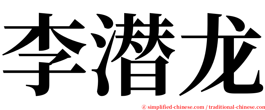 李潜龙 serif font